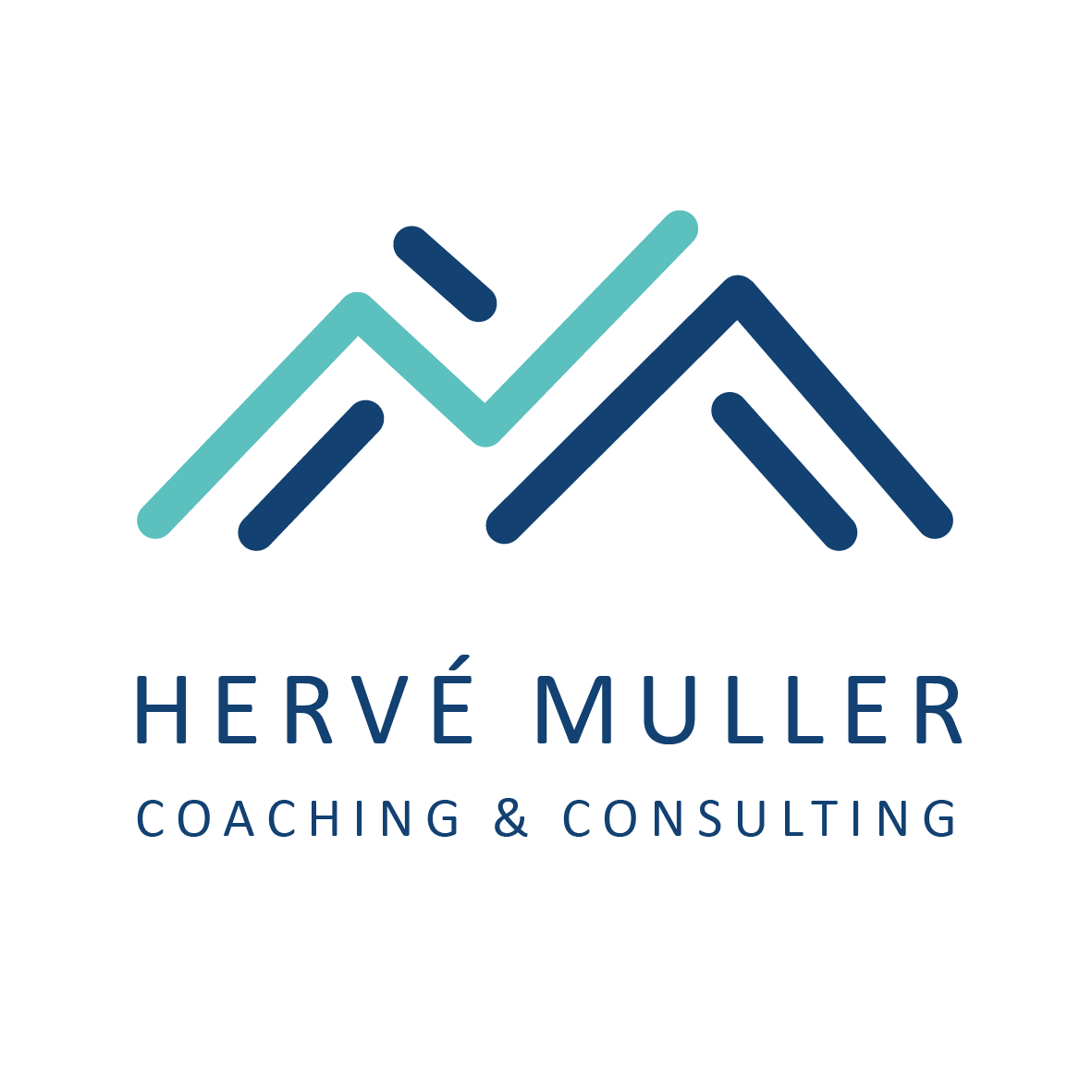 Logo Herve Muller - Calibri - Indigo 094074 - Turquoise 5bc0be - High